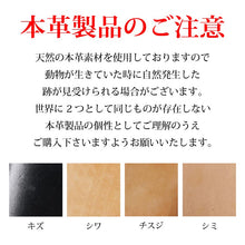 Load image into Gallery viewer, Cameo darts case COLT NB