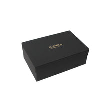 画像をギャラリービューアに読み込む, カメオ ダーツケース SARTORIA ZERO(サルトリア ゼロ)