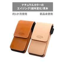 Load image into Gallery viewer, Cameo darts case COLT NB