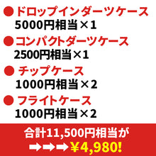 将图片加载到图库查看器，2024年 新春 ダーツケース福袋 梅 4980円ボックス　
