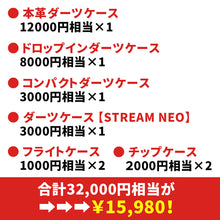 Load image into Gallery viewer, 2024 New Year Darts Case Lucky Bag Pine 14,800 yen box
