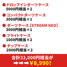 将图片加载到图库查看器，2026年 新春 ダーツケース福袋 竹 22000円→8990円 ボックス　
