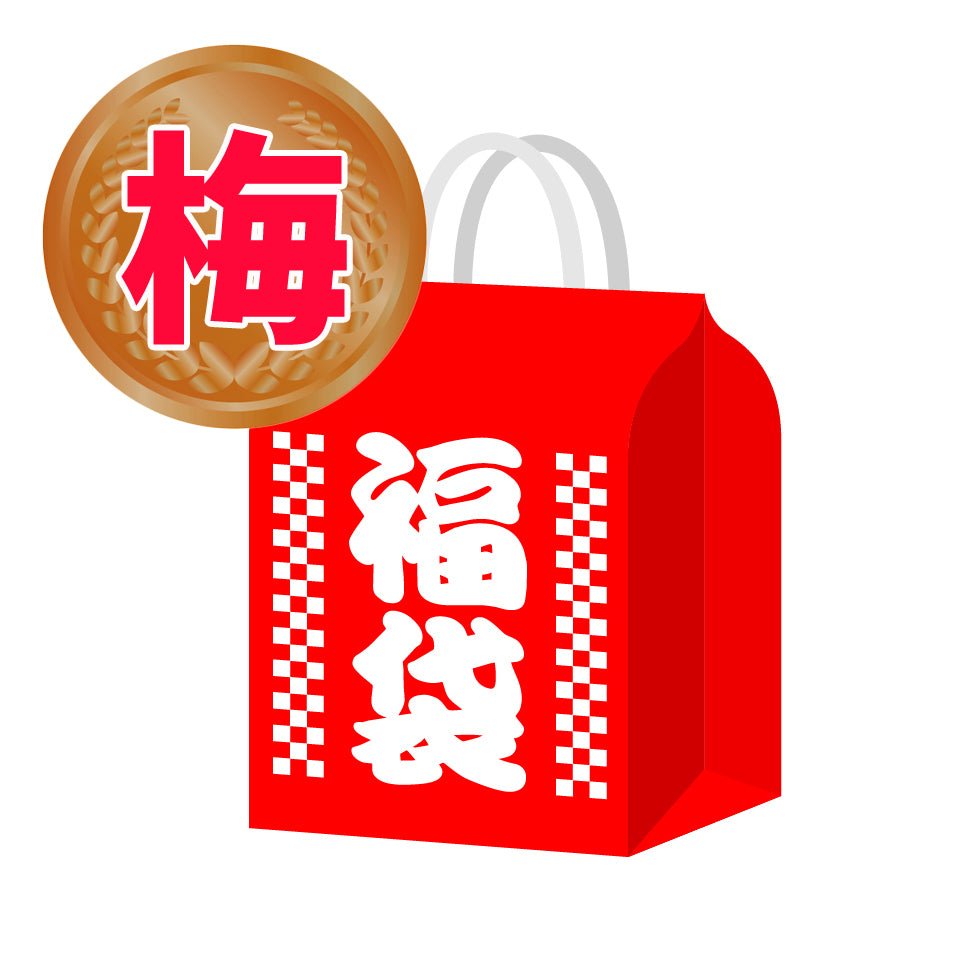 2024 New Year Darts Case Lucky Bag Plum 4980 yen box