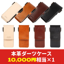 Load image into Gallery viewer, 2024 New Year Darts Case Lucky Bag Pine 14,800 yen box
